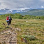 Kungsleden